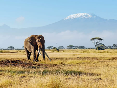 14 Days Best of Kenya Safari